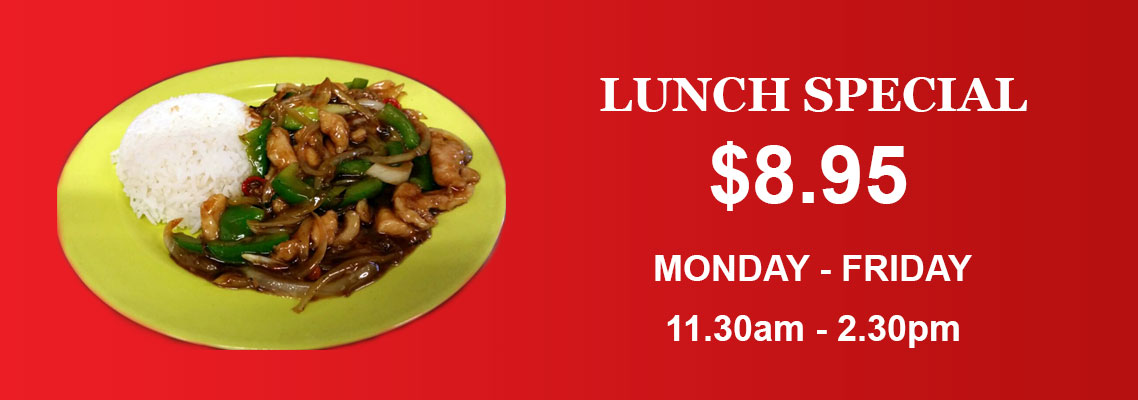 Lunch Special Dragon House Indian Chinese Restaurant